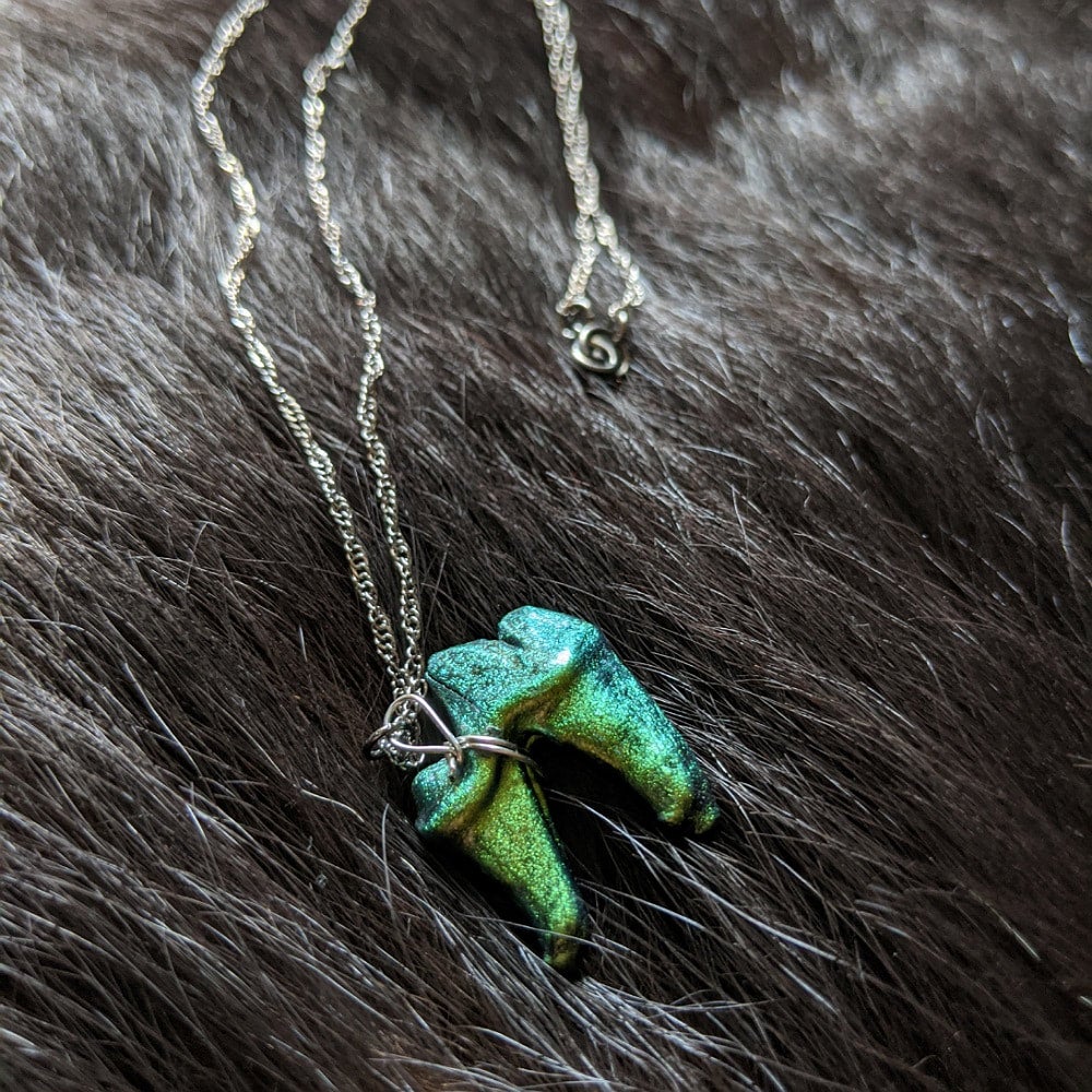 Color shifting real coyote tooth necklace
