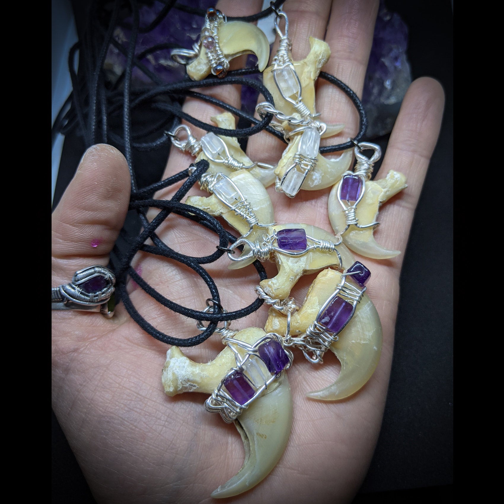 Mountain lion claw necklace