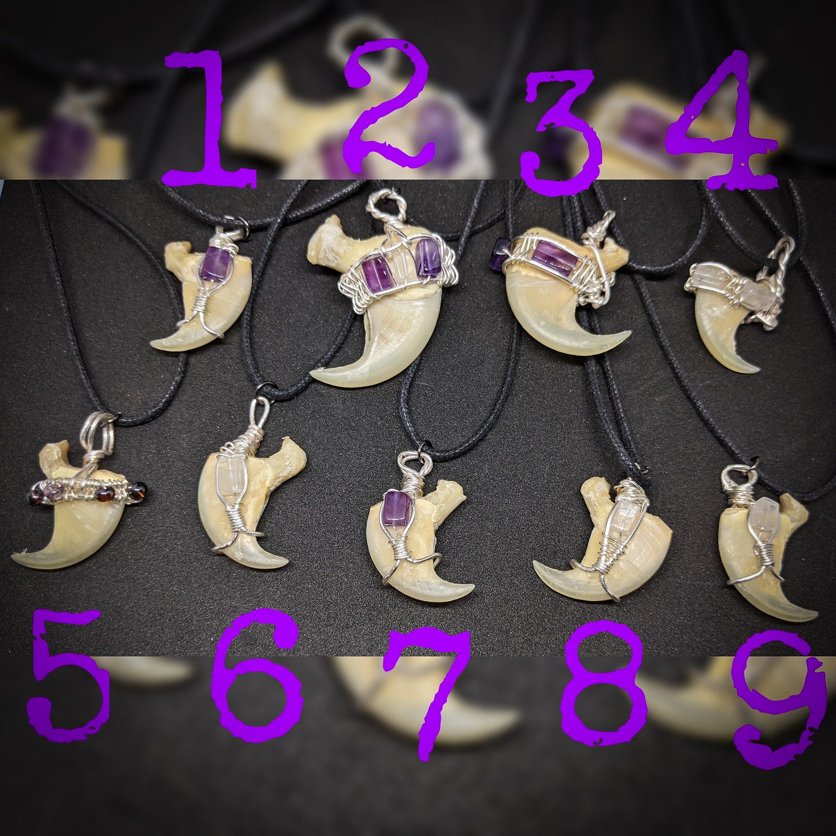 Mountain lion claw necklace