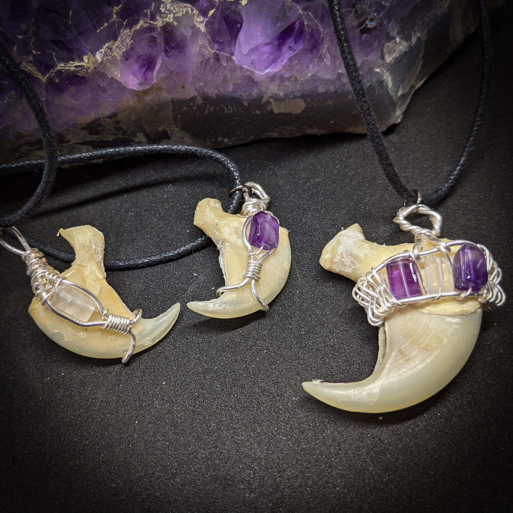Mountain lion claw necklace on sale
