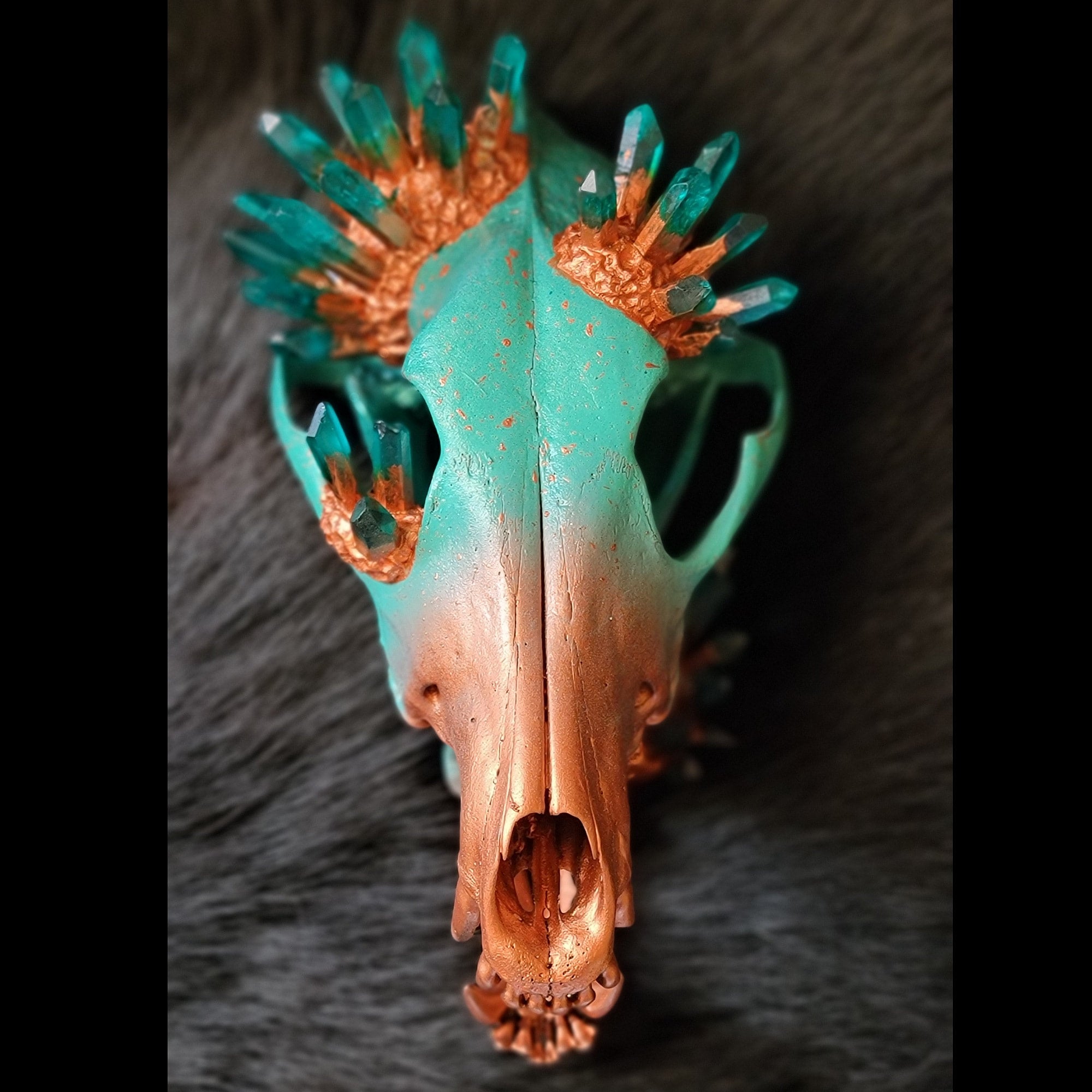 ANIMAL SKELETON TAXIDERMY Book Home Wolf Skull Decor Halloween £23.97 -  PicClick UK