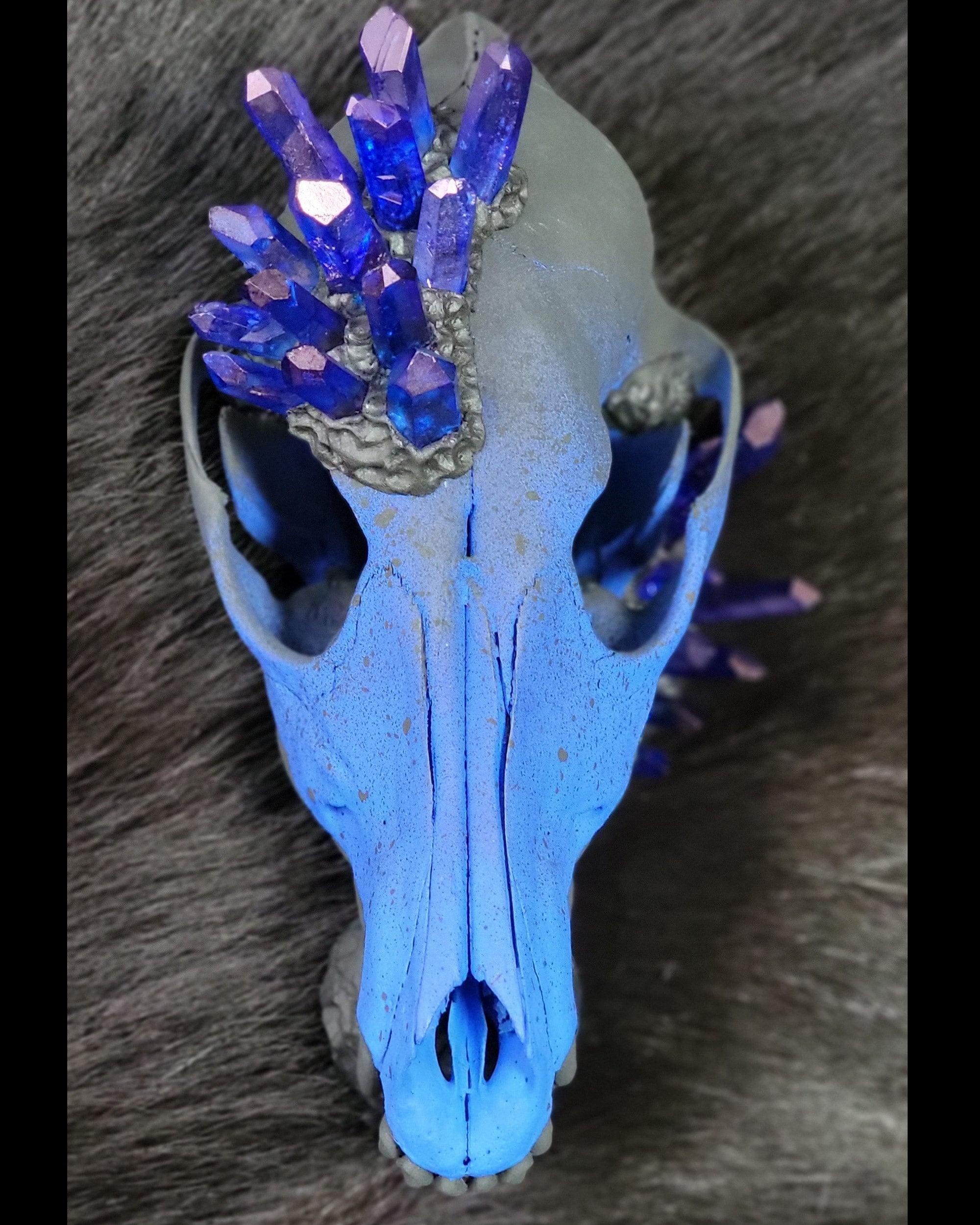 Blue Talking Stick - Coyote Skull
